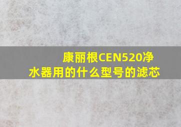 康丽根CEN520净水器用的什么型号的滤芯