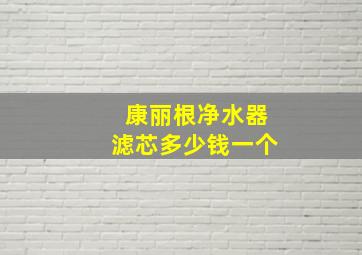 康丽根净水器滤芯多少钱一个