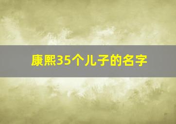 康熙35个儿子的名字