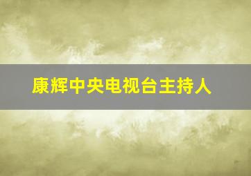 康辉中央电视台主持人