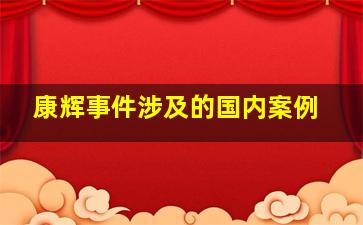 康辉事件涉及的国内案例