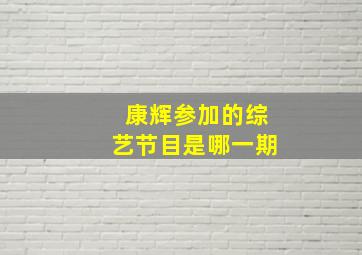 康辉参加的综艺节目是哪一期