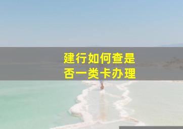 建行如何查是否一类卡办理