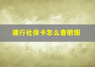 建行社保卡怎么查明细