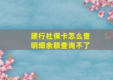 建行社保卡怎么查明细余额查询不了