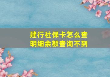 建行社保卡怎么查明细余额查询不到