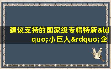 建议支持的国家级专精特新“小巨人”企业公示名单