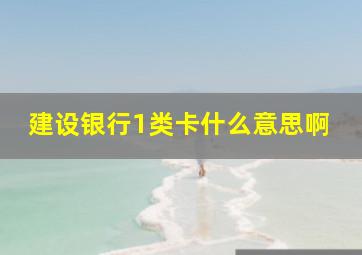 建设银行1类卡什么意思啊