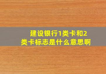 建设银行1类卡和2类卡标志是什么意思啊