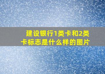 建设银行1类卡和2类卡标志是什么样的图片