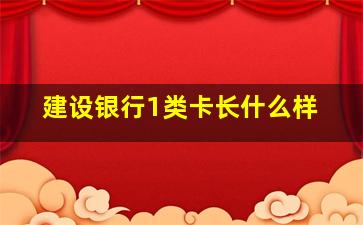 建设银行1类卡长什么样