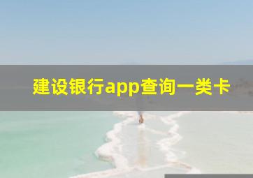 建设银行app查询一类卡