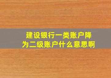 建设银行一类账户降为二级账户什么意思啊