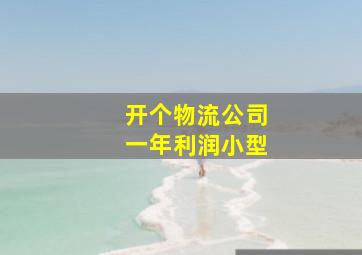 开个物流公司一年利润小型