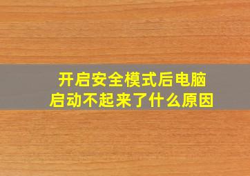 开启安全模式后电脑启动不起来了什么原因