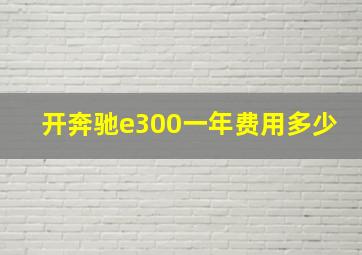 开奔驰e300一年费用多少