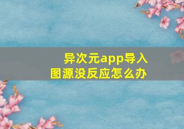 异次元app导入图源没反应怎么办