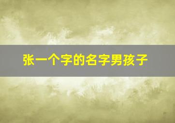 张一个字的名字男孩子