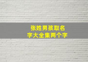 张姓男孩取名字大全集两个字