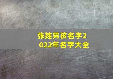 张姓男孩名字2022年名字大全