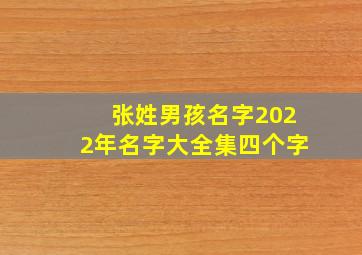 张姓男孩名字2022年名字大全集四个字