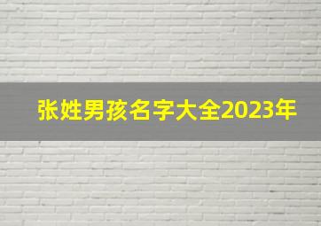 张姓男孩名字大全2023年