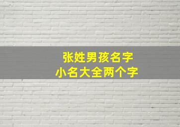 张姓男孩名字小名大全两个字