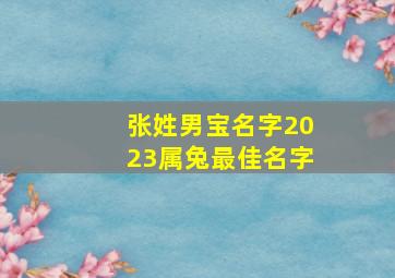 张姓男宝名字2023属兔最佳名字