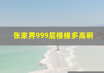 张家界999层楼梯多高啊