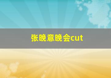 张晚意晚会cut