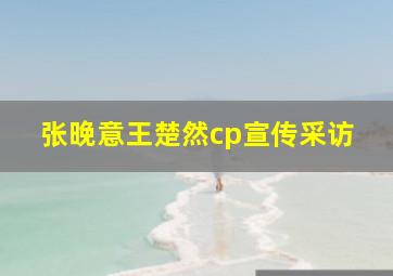 张晚意王楚然cp宣传采访