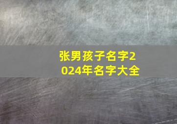 张男孩子名字2024年名字大全