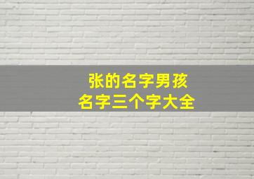 张的名字男孩名字三个字大全