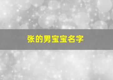 张的男宝宝名字