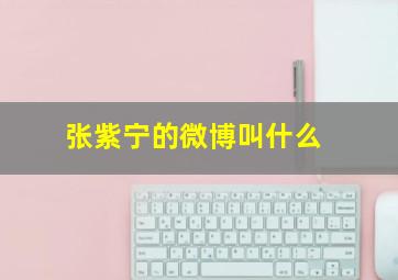 张紫宁的微博叫什么