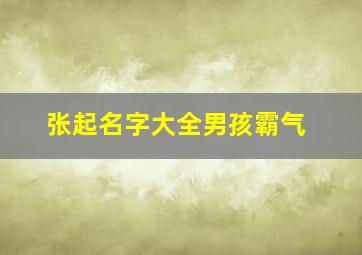 张起名字大全男孩霸气