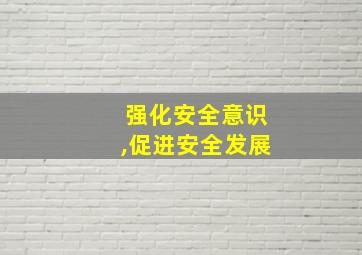 强化安全意识,促进安全发展