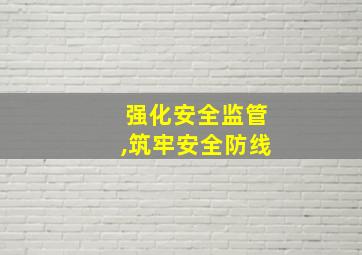 强化安全监管,筑牢安全防线