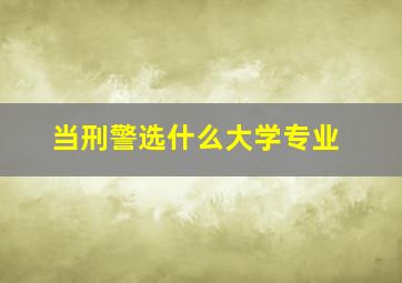 当刑警选什么大学专业