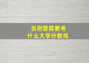 当刑警需要考什么大学分数线