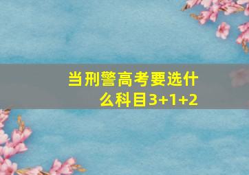 当刑警高考要选什么科目3+1+2