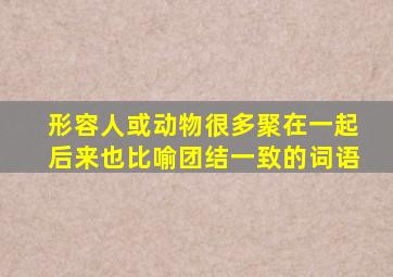 形容人或动物很多聚在一起后来也比喻团结一致的词语