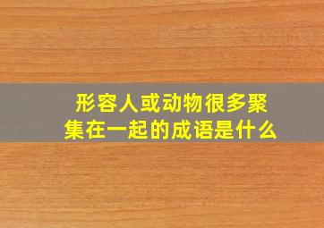 形容人或动物很多聚集在一起的成语是什么