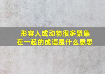 形容人或动物很多聚集在一起的成语是什么意思