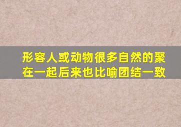 形容人或动物很多自然的聚在一起后来也比喻团结一致