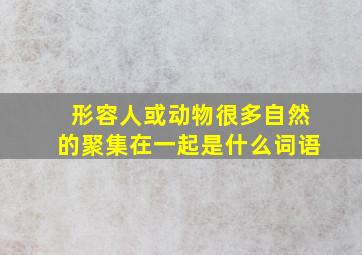 形容人或动物很多自然的聚集在一起是什么词语