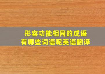 形容功能相同的成语有哪些词语呢英语翻译