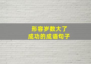 形容岁数大了成功的成语句子