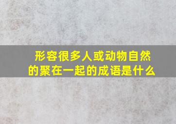 形容很多人或动物自然的聚在一起的成语是什么