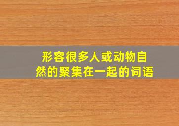 形容很多人或动物自然的聚集在一起的词语